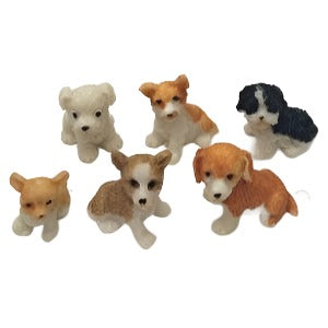 Puppies 6 pcs