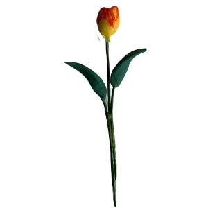 Yellow Tulip