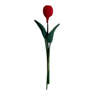 Red Tulip