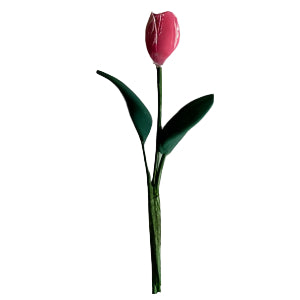 Pink Tulip