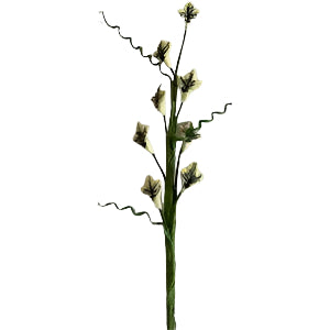 Flower Stem