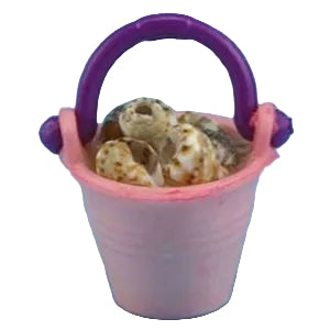 Bucket of Shells