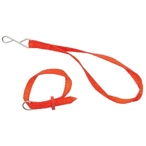 Red Dog Leash and Collar
