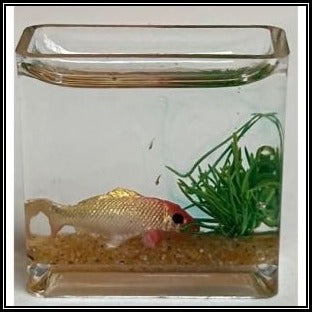Rectangle Fish Bowl