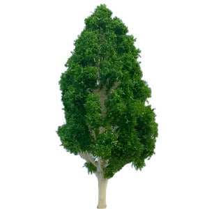 Pear Shaped Tree 12cm