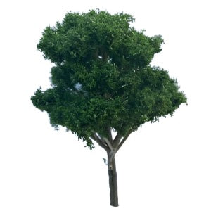 Dark Green Bushy Tree 12 cm