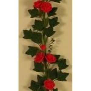 Trellis Climbing Plant Red