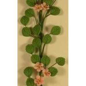 Trellis Climbing Plant Pink Flower