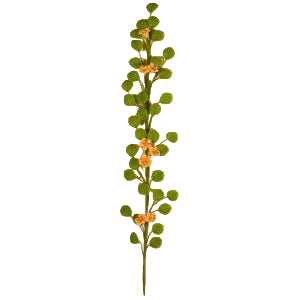 Trellis Climbing Plant Pink Flower