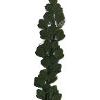 Trellis Climbing Plant Ivy