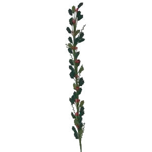 Trellis Climbing Plant Holly