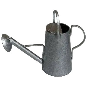 Watering Can Silver