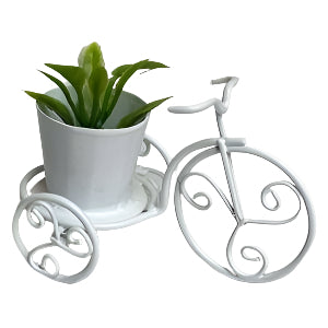 White Wire Trike With Plant