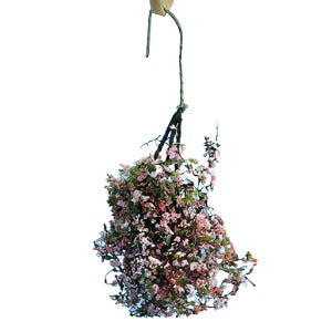 Hanging Basket Pink Fuchsia Small