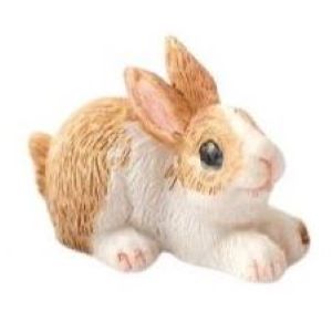 White And Brown Rabbit