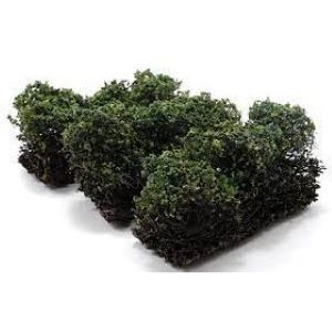 Low Green Bushes Set of 3