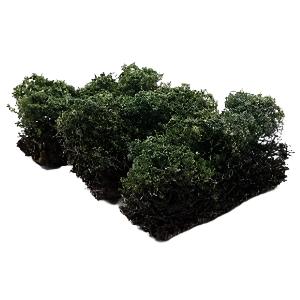 Low Green Bushes Set of 3