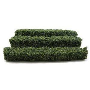 Hedges Small 3 pc