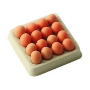 Tray of Eggs Brown