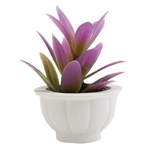 Purple Plant in a White Pot