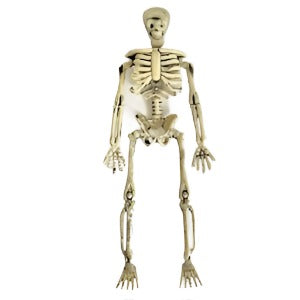 Skeleton 142mm