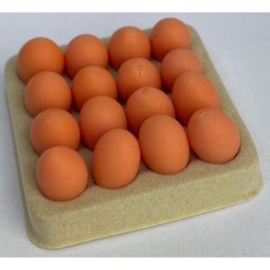 Tray of Eggs Brown