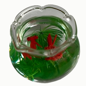 Orange Fish in Bowl