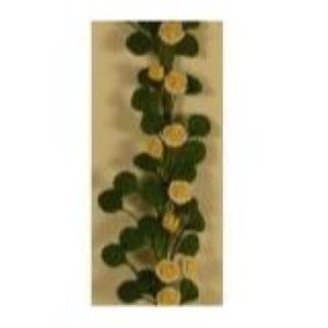 Trellis Climbing Plant Yellow Rose