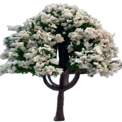 Tree With White Flowers