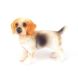 Standing Beagle Dog