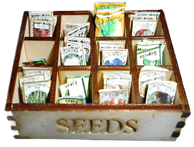 Seed Boxes And Seeds Kit Set Of 3