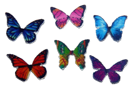 Butterflies 6pcs