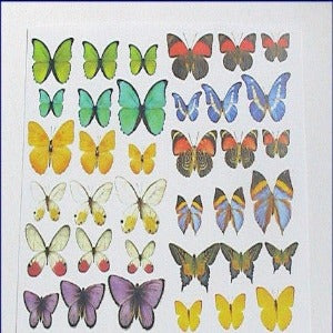 Butterfly Kit Sheet