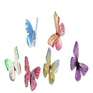 Set of 6 Mini Acrylic Butterflies