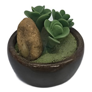 Plants In A Bowl