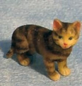 Tabby Cat