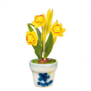 Daffodils In A Pot