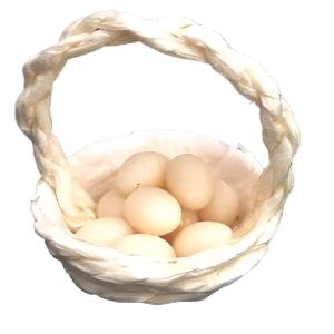 Basket Of Eggs