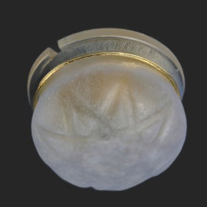 Frosted Ceiling Light