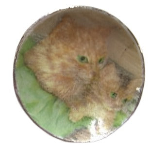 Kitten Plate