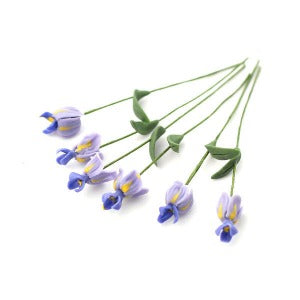 6 Beautiful Irises