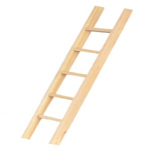 Straight Ladder