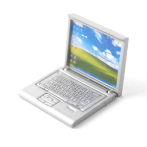 Detailed Silver Laptop