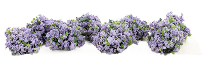 Violet Border Plants