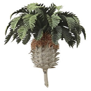 2" Tall Sago Palm Tree