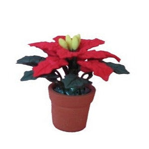 Christmas Poinsettia