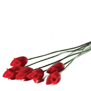 6 Red Tulips