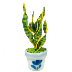 Sansevieria In A Pot