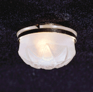 Frosted Ceiling Light