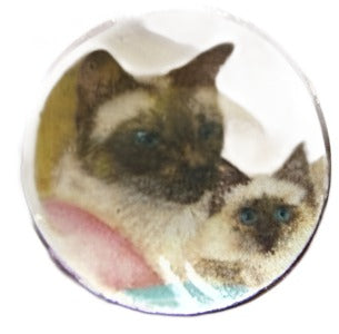 Kitten Plate